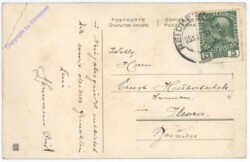 Stechpalmenblätter im Korb