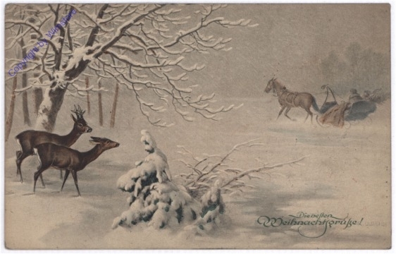 Rehe sehen eine Kutsche