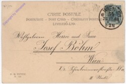 Dame mit Stechpalmenzweig