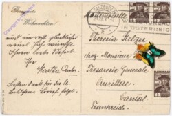 Engerl läutet mit Bäumchen an