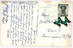 Absam, Ortsansicht