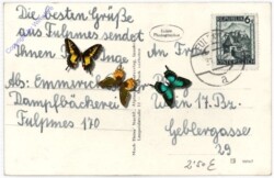 Fulpmes, Ortsansicht