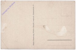 Innsbruck, Herzog Friedrich Strasse mit Goldenem Dachl