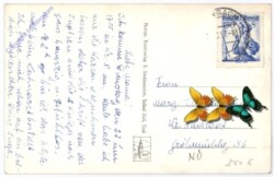 Jenbach, Schlloss Tratzberg