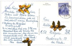 Jochberg, mit Wilden Kaiser