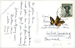 Kartitsch, Ortsansicht