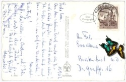 Kirchberg in Tirol, gegen Rettenstein