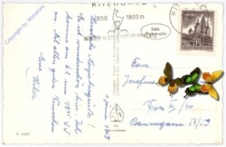 Kitzbühel, gegen Süden