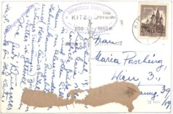 Kitzbühel, Pengelstein