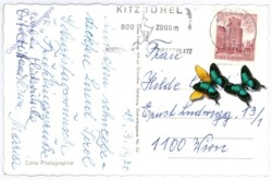 ak190964a_2 Kitzbühel, Steinbergkogel