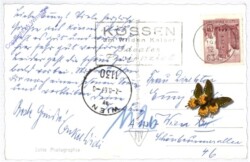 Kössen, Ortsansicht