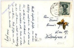 Lienz, Schloss Bruck mit dem bösen Weibele