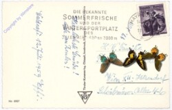 Mayrhofen, Multiansicht