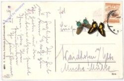 Neustift, Dresdner Hütte