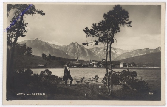 Seefeld, Motiv