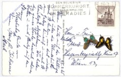 St. Anton, Multiansicht Ulmerhütte