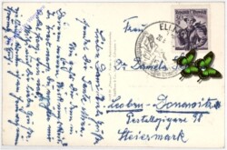 St. Johann, mit dem Wilden Kaiser
