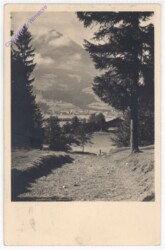 St. Johann, mit Kitzbühlerhorn