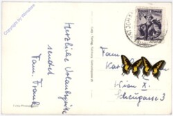 St. Johann, mit dem Wilden Kaiser