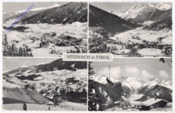 Steinach, Multiansicht