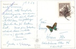 Steinach, Multiansicht
