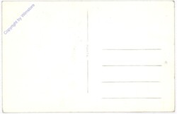 ak191390a Moens Klint