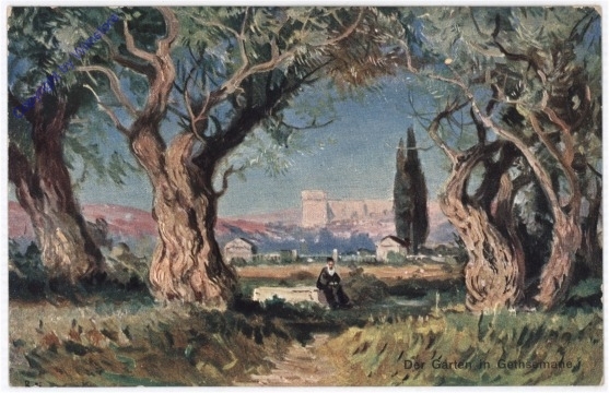 Gethsemane, Der Garten