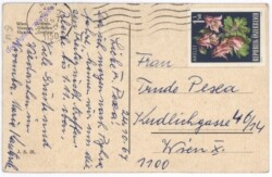 ak191628a Wien 1, Graben