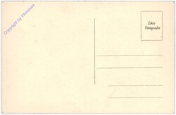 ak191769a Wien 1, Parlament mit Rathaus
