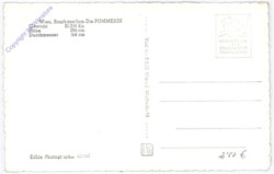 Wien 1, Stephansdom, Die Pummerin