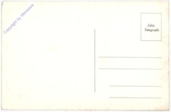 Wien 1, Universität