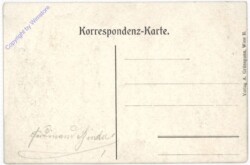 Wien 1, Universität