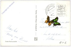 ak192028a Wien 4, Karlskirche