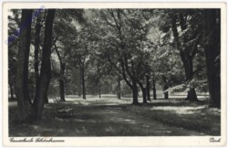 Wien 13, Schönbrunn, Gauschule
