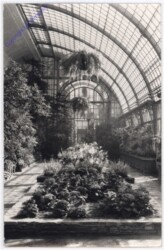 ak192165 Wien 13, Schönbrunn
