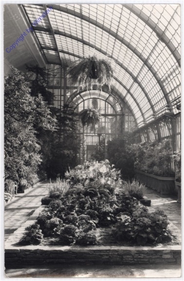 ak192165 Wien 13, Schönbrunn