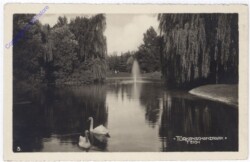 Wien 18, Türkenschanzpark, Teich