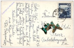 ak192293a Wien 19, Neue Höhenstrasse mit Kahlenberg