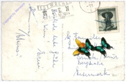 ak192304a Wien 19, Kahlenberg, Multiansicht