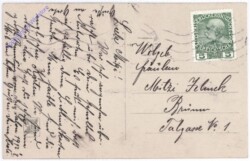 ak192344a Unter den Lorbeerbäumen