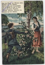 ak192441 Sah ein Knab' ein Röslein stehn...