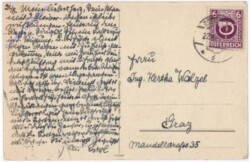 ak192454a Am Zaun