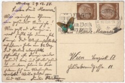 Zapfen mit Kerze