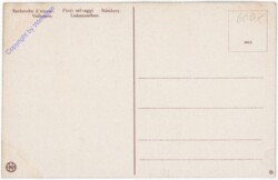 ak192615a Liebeswerben