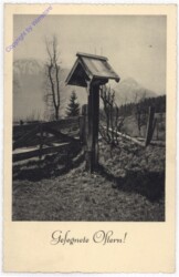 ak192734 Marterl