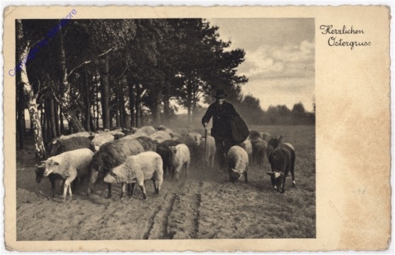 Schäfer mit seiner Herde