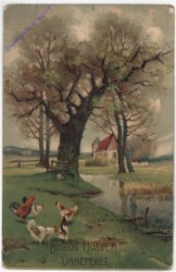 Hühner am Ufer