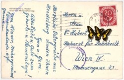 Ostergrüße aus Heidelberg