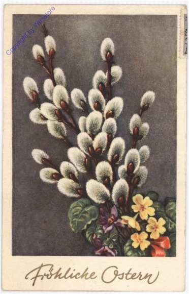 ak192782 Palmkätzchen