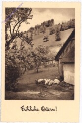 Schafherde